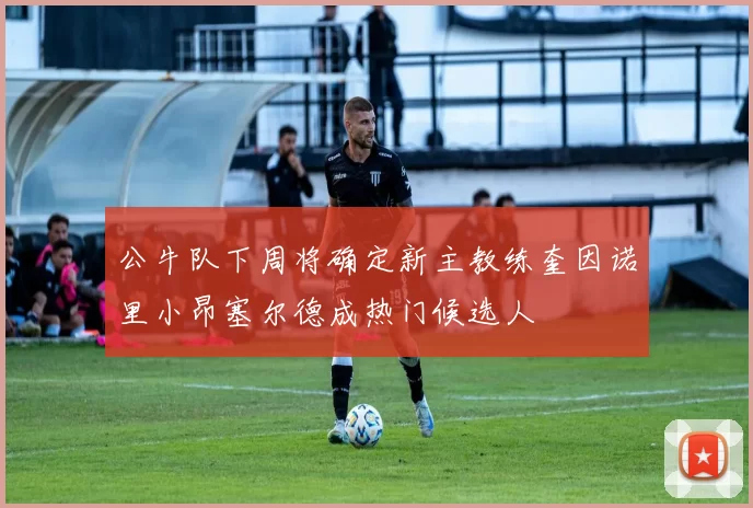 公牛队下周将确定新主教练奎因诺里小昂塞尔德成热门候选人